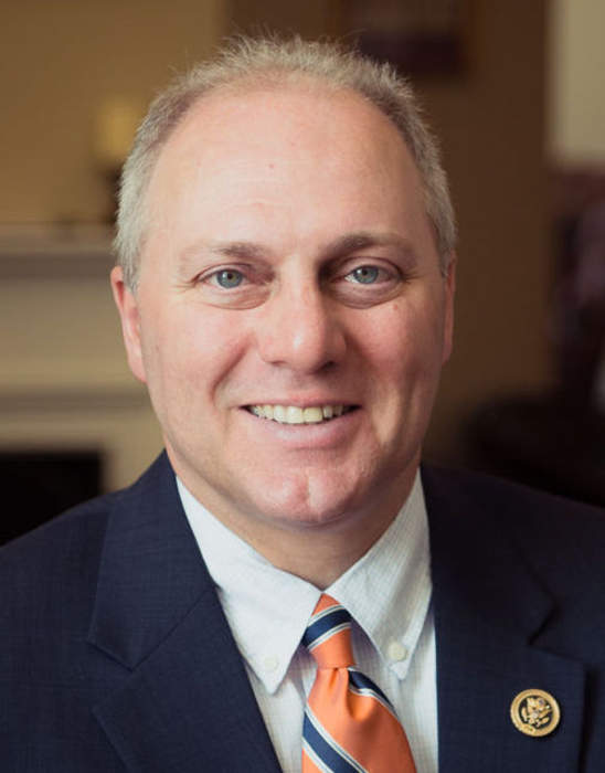 Steve Scalise: American politician (born 1965)