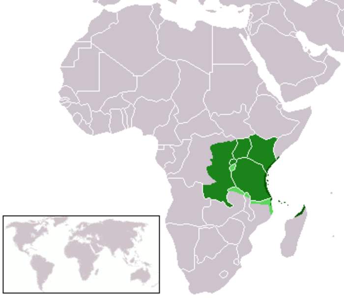Swahili language: Bantu language spoken mainly in East Africa
