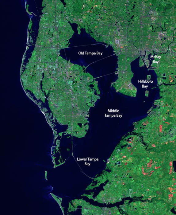 Tampa Bay: Estuary and natural harbor in Florida, off the Gulf of Mexico