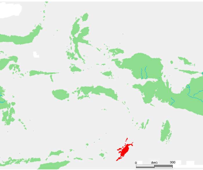 Tanimbar Islands: Group of islands in Maluku, Indonesia