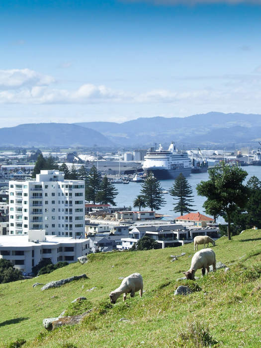 Tauranga: Port city in the Bay of Plenty, New Zealand