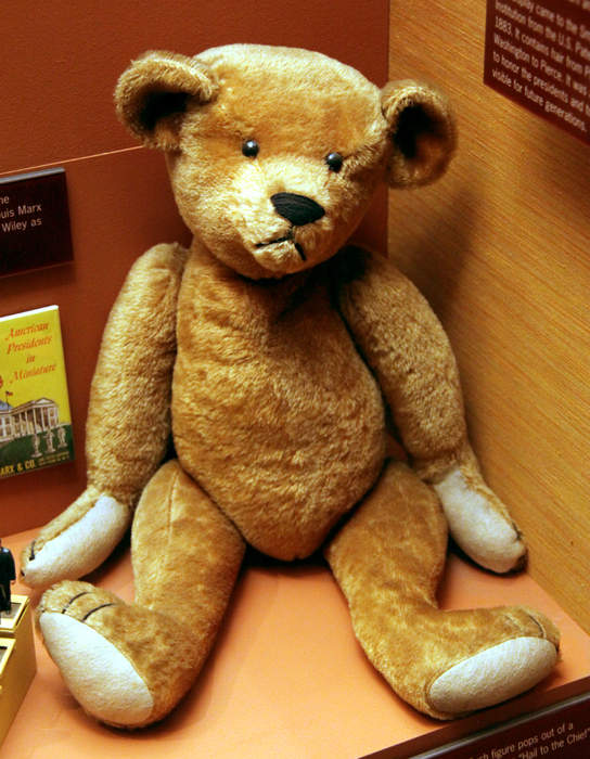 Teddy bear: Soft toy in the form of a bear