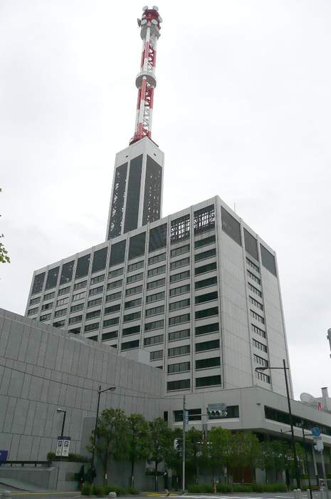 Tokyo Electric Power Company: Japanese electric utility holding company