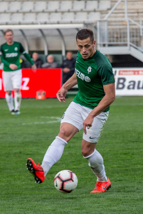 Tomáš Holeš: Czech footballer