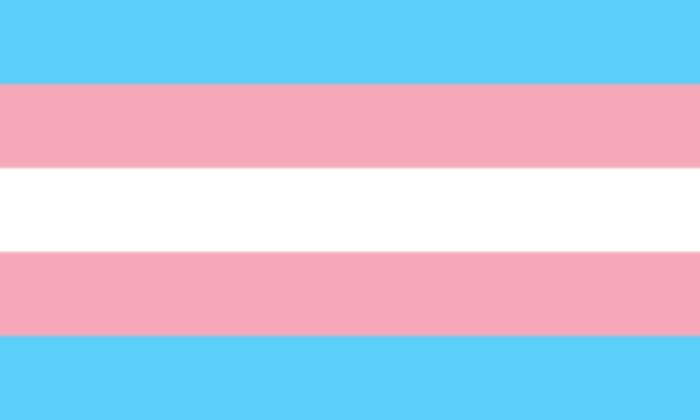 Transgender: Gender identity other than sex assigned at birth