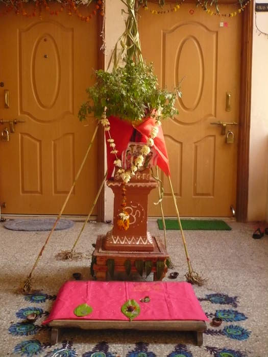 Tulsi Vivah: Ceremonial marriage of the Tulsi plant (holy basil) to the Hindu god Vishnu or Krishna