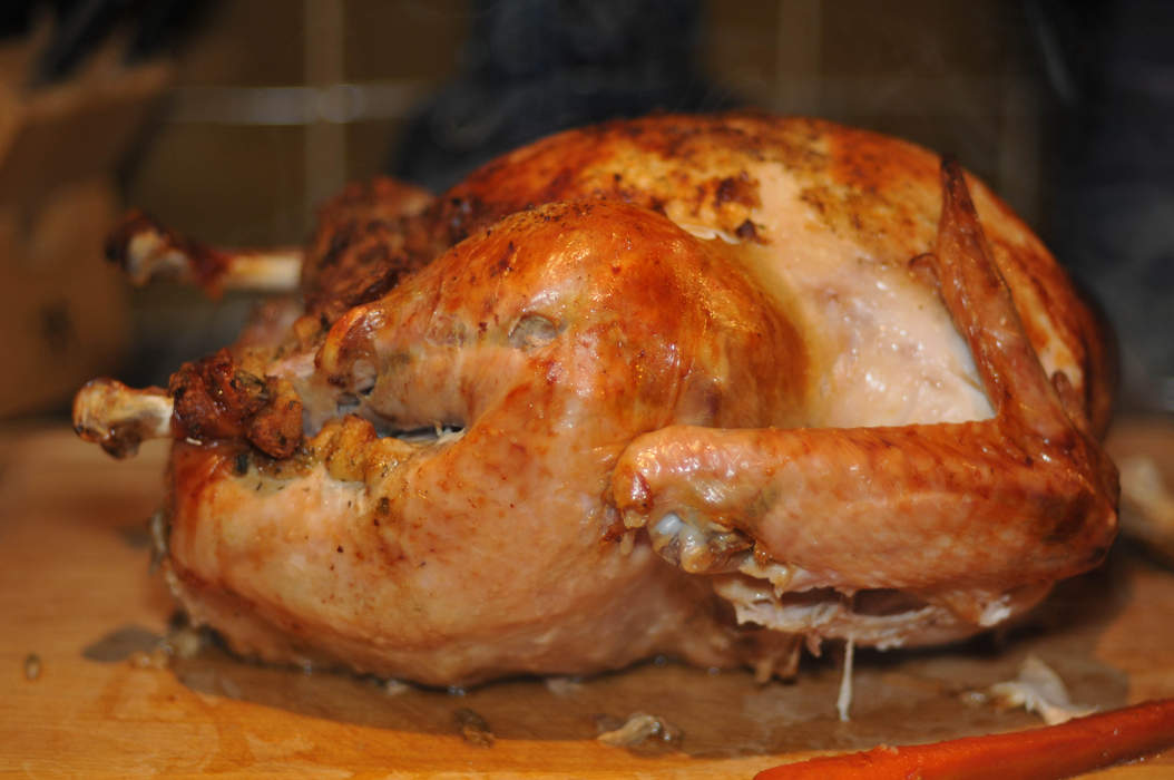Turkey meat: Meat from a turkey