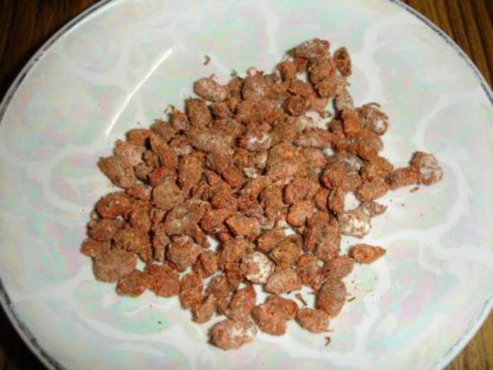 Unani medicine: Traditional medicine from the Mughal empire