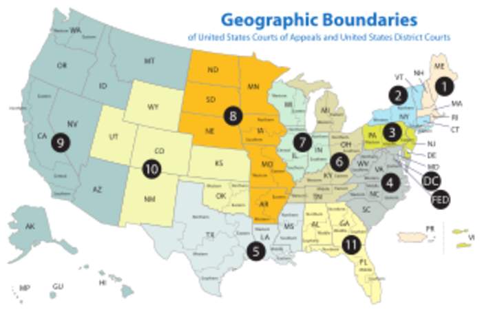 United States district court: Trial court of the U.S. federal judiciary