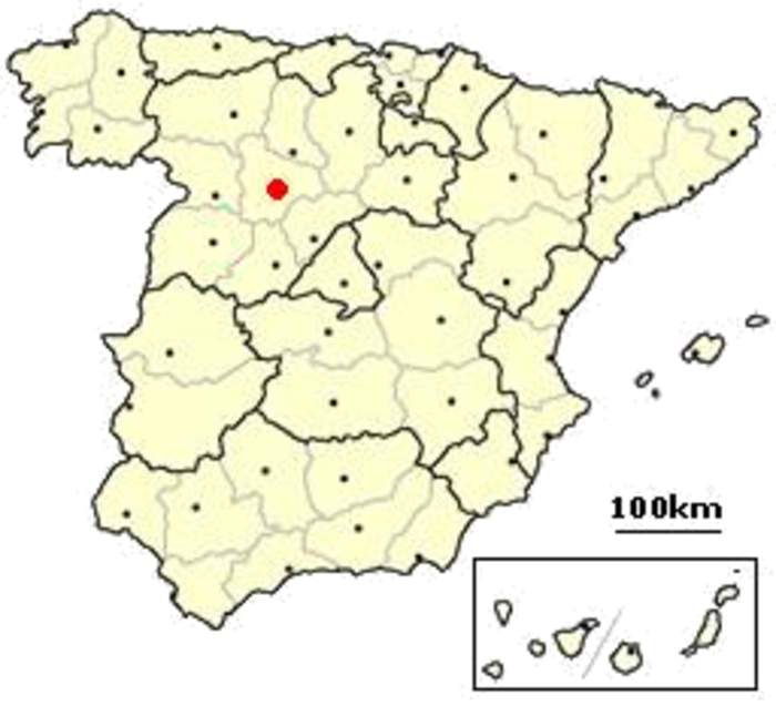Valladolid: Municipality in Castile and Le贸n, Spain
