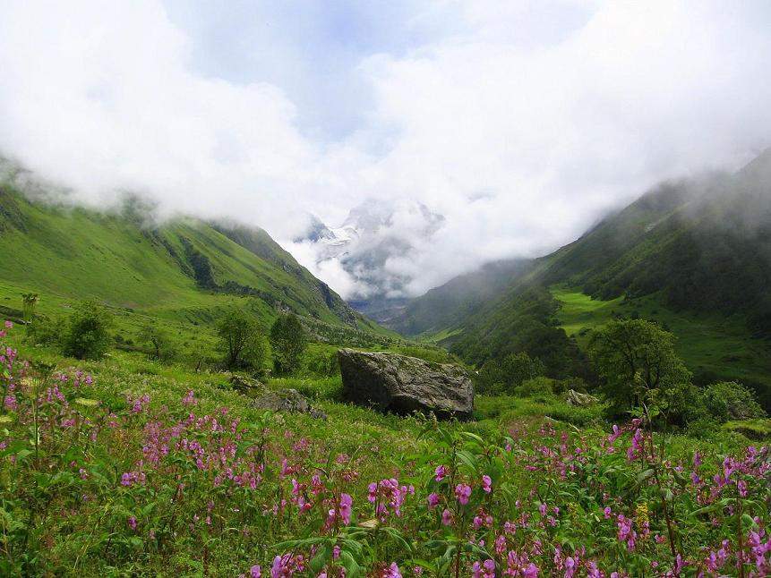 Valley of Flowers National Park: National park in Uttarakhand, India