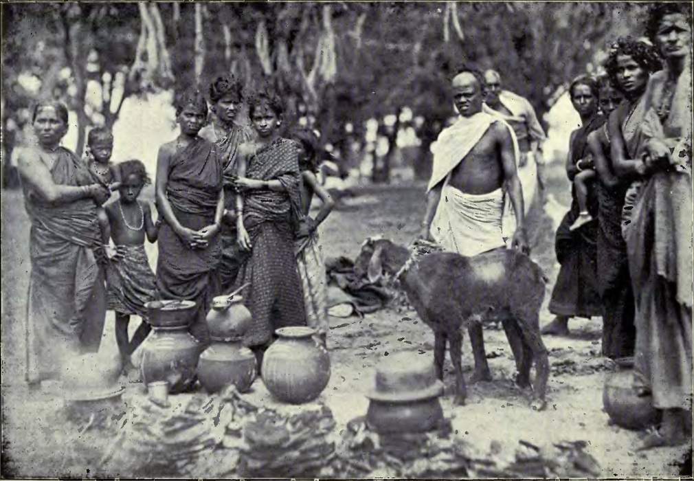 Vanniyar: Hindu agrarian caste