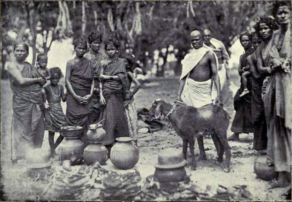 Vanniyar: Hindu agrarian caste in Tamil Nadu, India