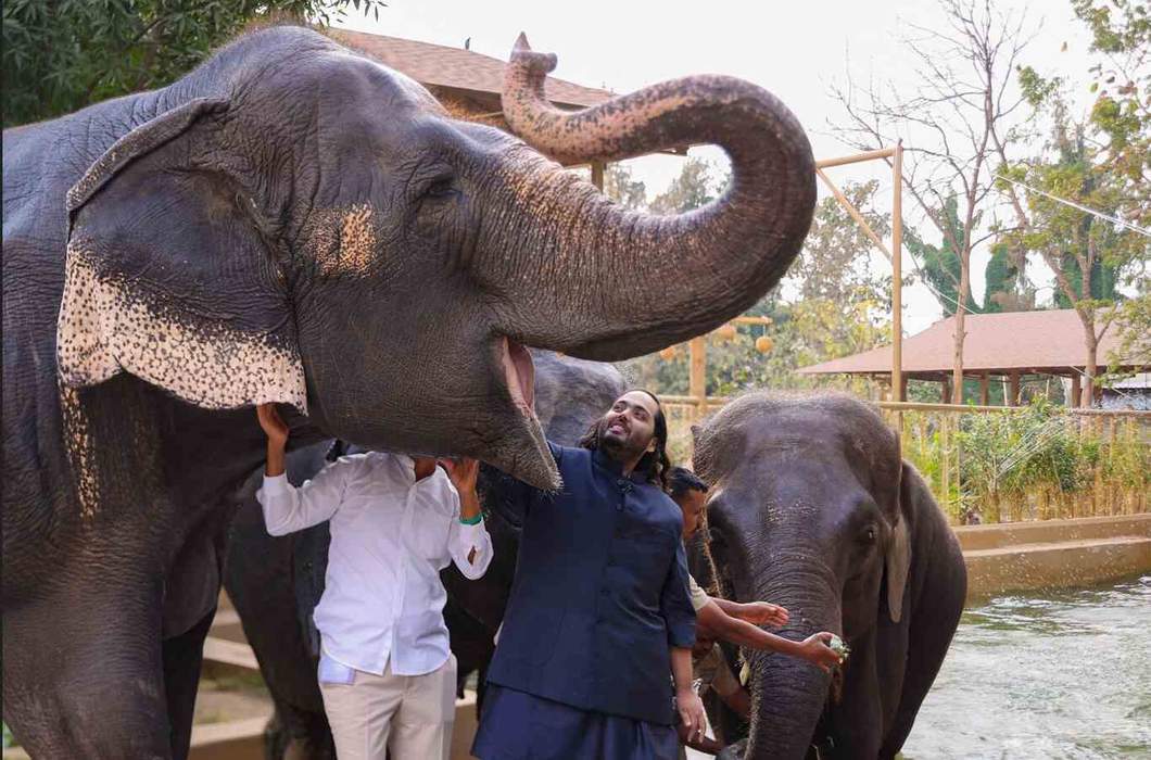 Vantara: Animal conservation centre in Jamnagar, India
