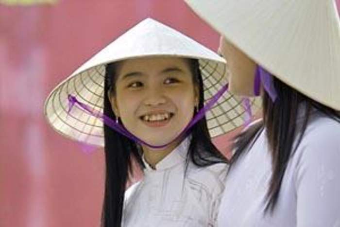 Vietnamese people: Southeast Asian ethnic group