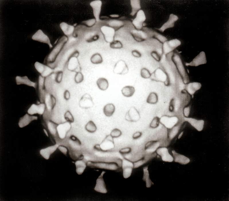 Virus: Infectious agent that replicates in cells