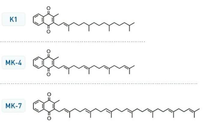 Vitamin K: Fat-soluble vitamers