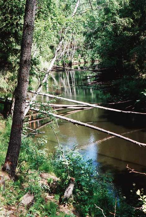Volchya: River in Russia