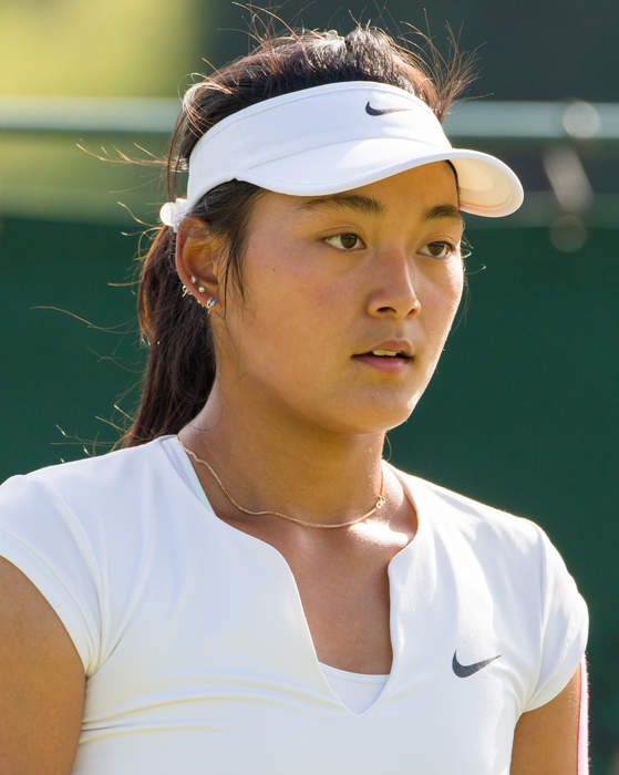 Wang Yafan: Chinese tennis player (born 1994)