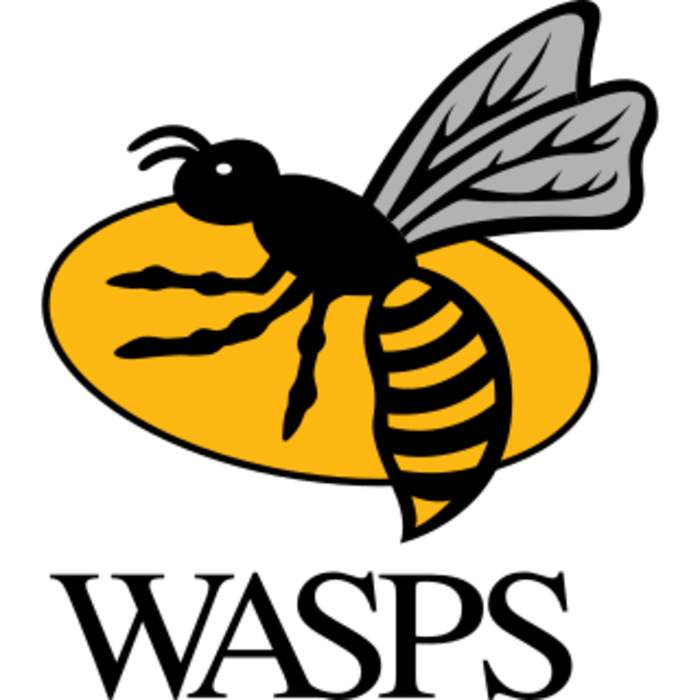 Wasps RFC: Professional rugby team based in Coventry, England