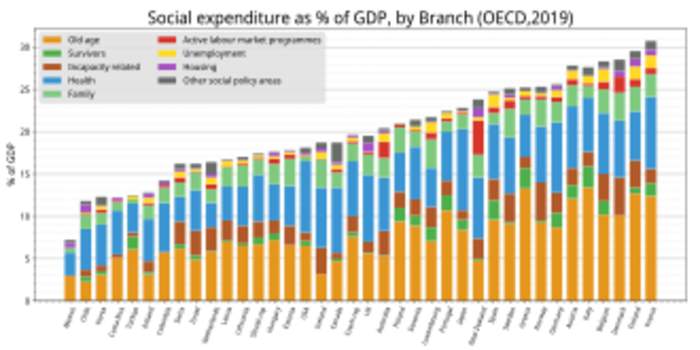 Welfare state: Form of government