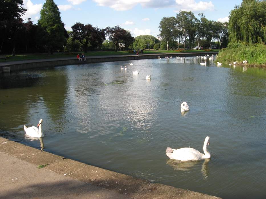 Wellingborough: Market town in Northamptonshire, England