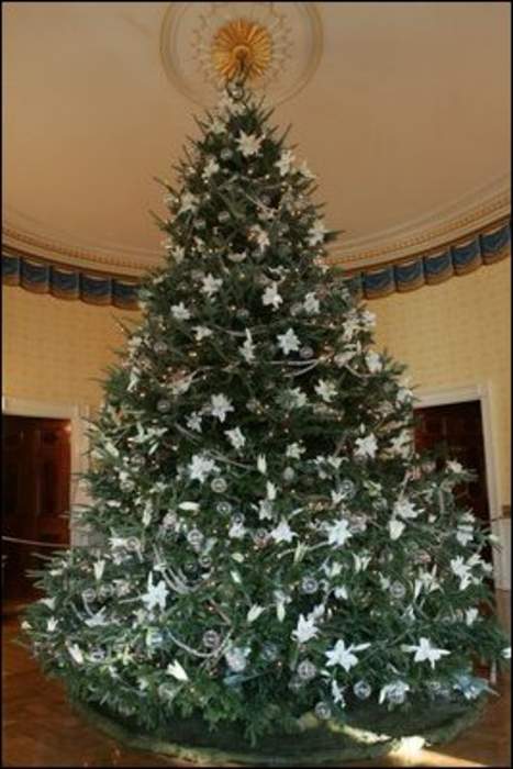 White House Christmas tree: Christmas tree inside the White House in Washington, DC, United States