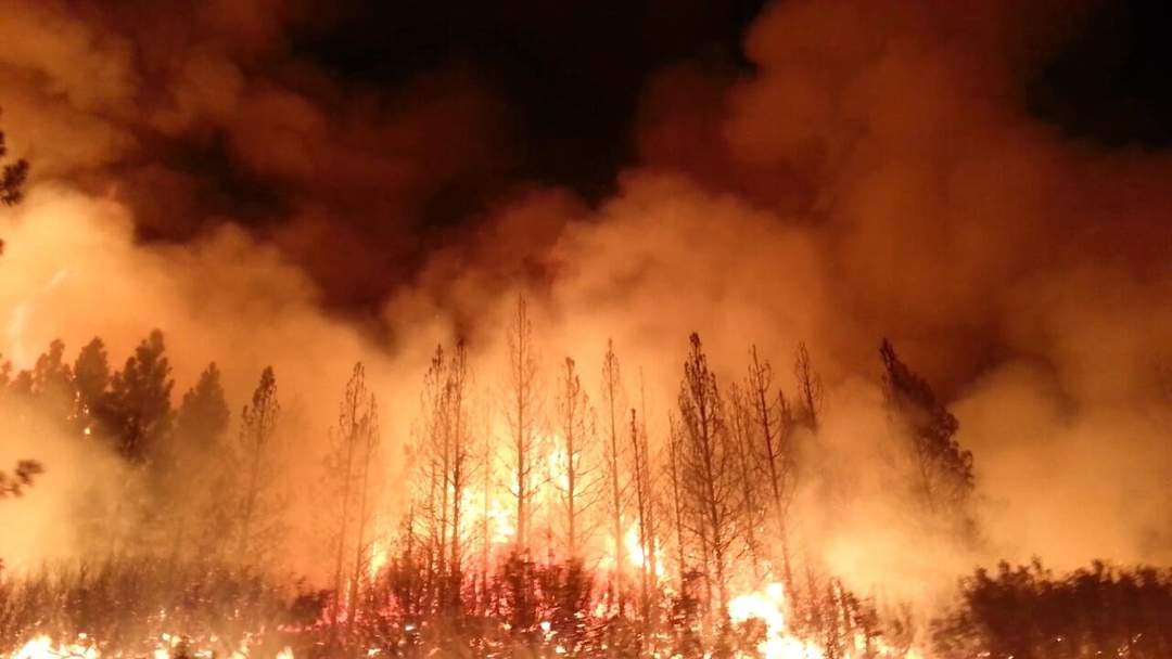 Wildfire: Uncontrolled fires in rural countryside or wilderness areas