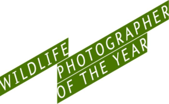 Wildlife Photographer of the Year: Annual slate of global wildlife photography awards