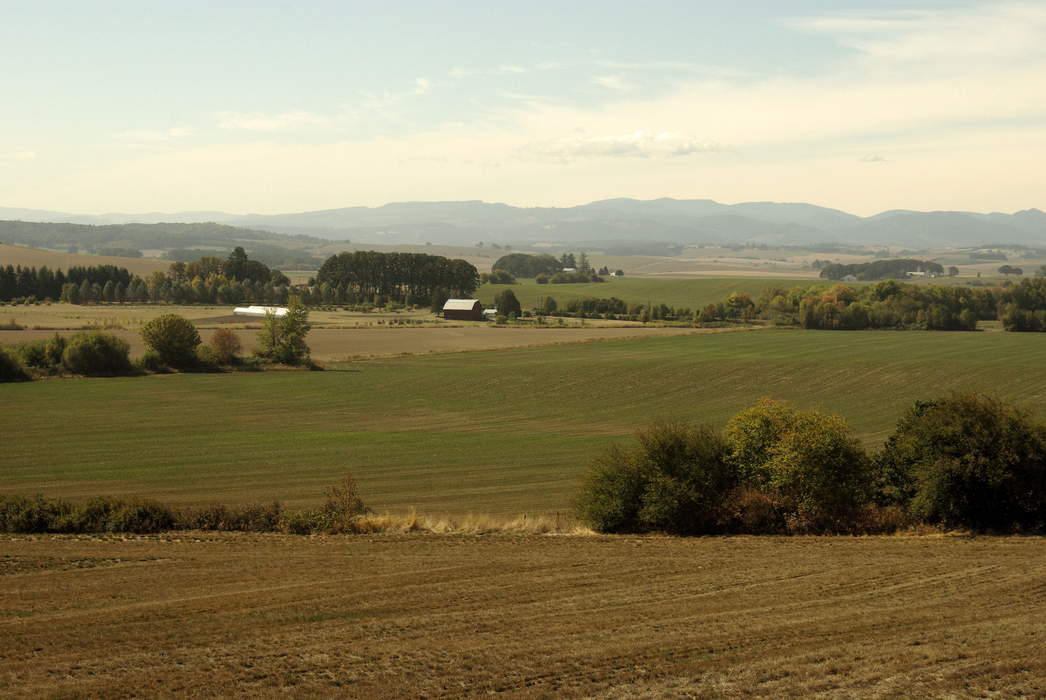 Willamette Valley: Valley in the Pacific Northwest region of the United States