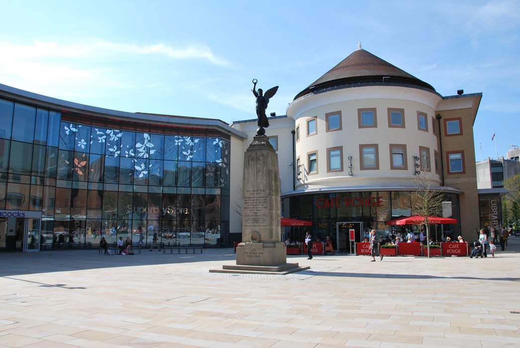 Woking: Town and borough in Surrey, England
