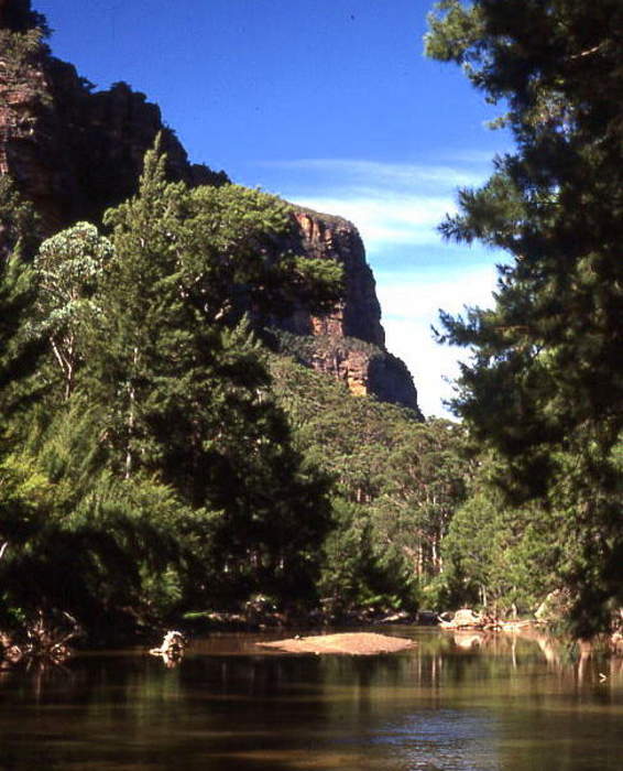 Wollemi National Park: Protected area in New South Wales, Australia