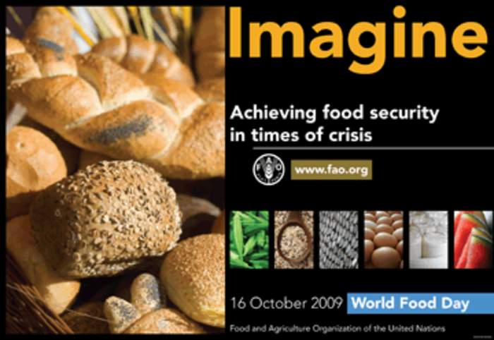 World Food Day: International day of food security