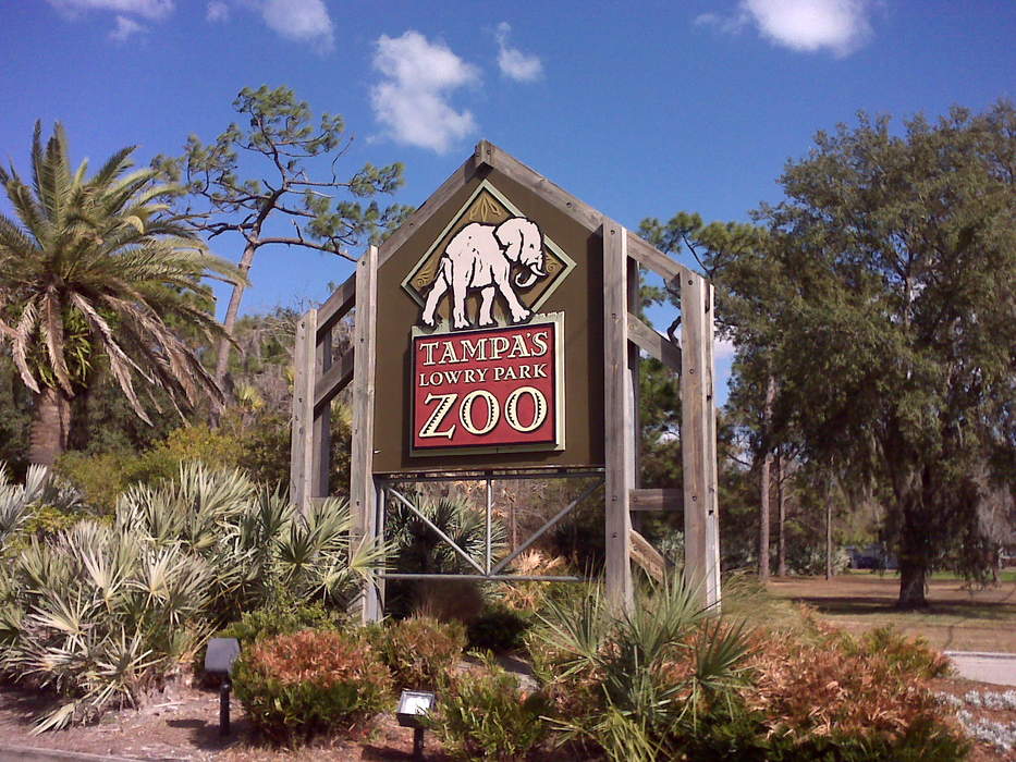 ZooTampa at Lowry Park: Nonprofit zoo in Tampa, Florida